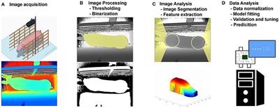 Image Analysis and Computer Vision Applications in Animal Sciences: An Overview